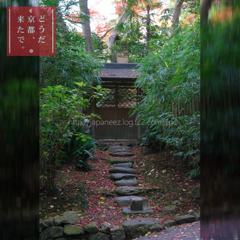 November　20 ， 2016