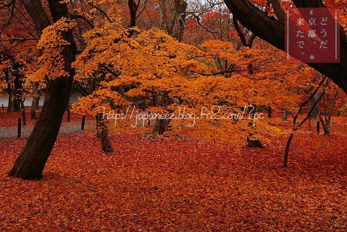 14　Decembre ， 2016