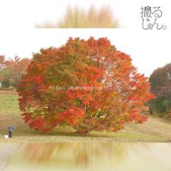 November　2 ， 2016