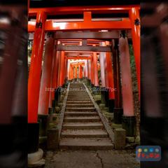 November　16 ， 2016