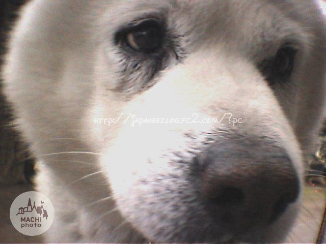 November　17 ， 2016