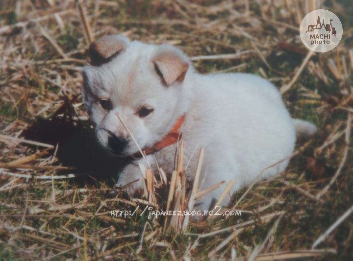 Octobre　15 ， 2016