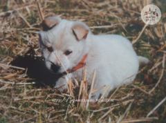 Octobre　15 ， 2016