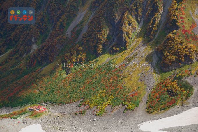 November　14 ， 2016