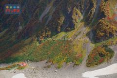 November　14 ， 2016