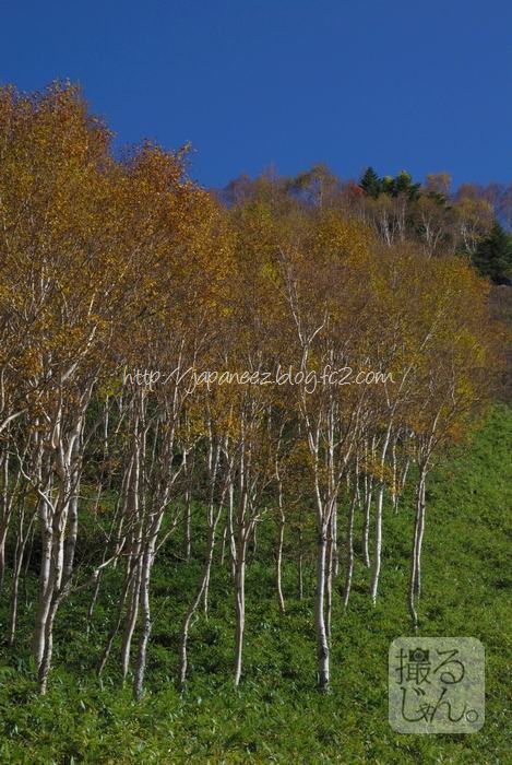 Octobre　19 ， 2016