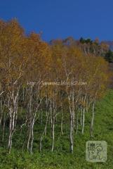 Octobre　19 ， 2016