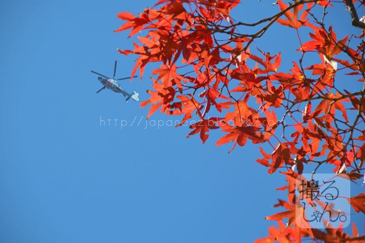 Octobre　29 ， 2016