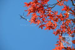 Octobre　29 ， 2016