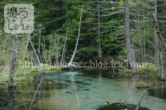 Septembre　8 ， 2016