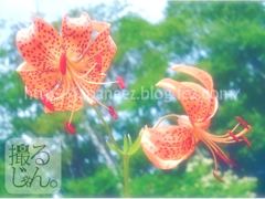 9　Augustus ， 2016