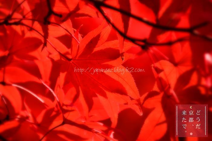 November　12 ， 2016