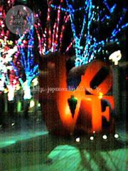 November　25 ， 2016