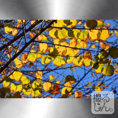 Septembre　11 ， 2017