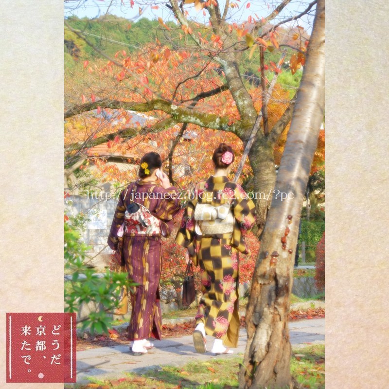 November　30 ， 2017