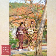 November　30 ， 2017