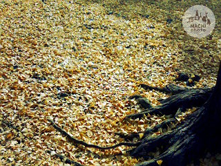 Octobre　25 ， 2016