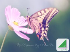 Octobre　8 ， 2017