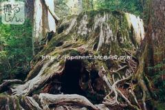 Octobre　27 ， 2016