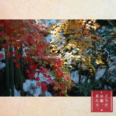 November　26 ， 2016