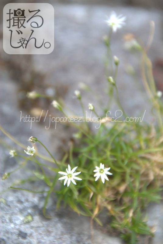 Augustus　10 ， 2016