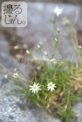 Augustus　10 ， 2016