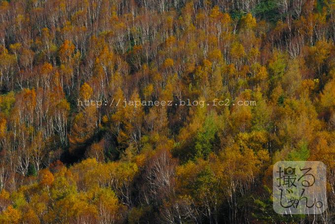 Octobre　16 ， 2016