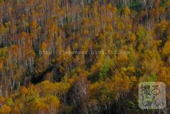 Octobre　16 ， 2016