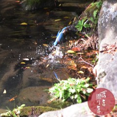 Decembre　28 ， 2017