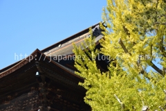 Octobre　21 ， 2016