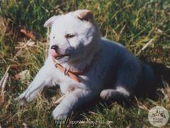 Octobre　8 ， 2016