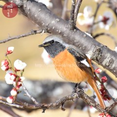 February　28 ， 2017