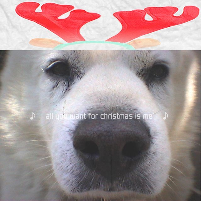 18　Decembre ， 2016