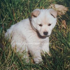 Octobre　6 ， 2016