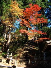 Octobre　27 ， 2016