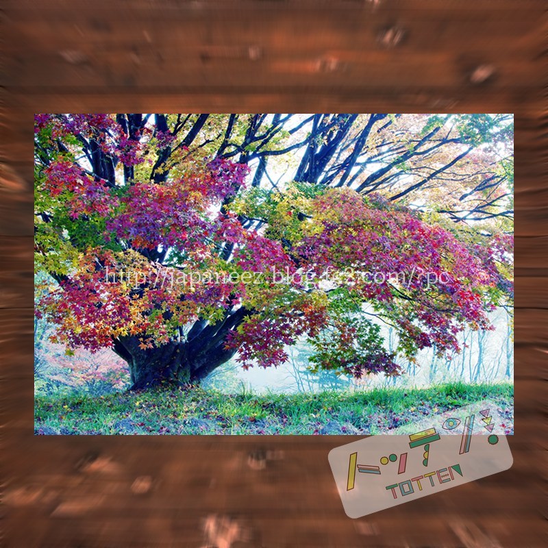 Octobre　13 ， 2017