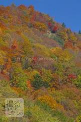 Octobre　30 ， 2016