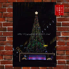 November　26 ， 2016