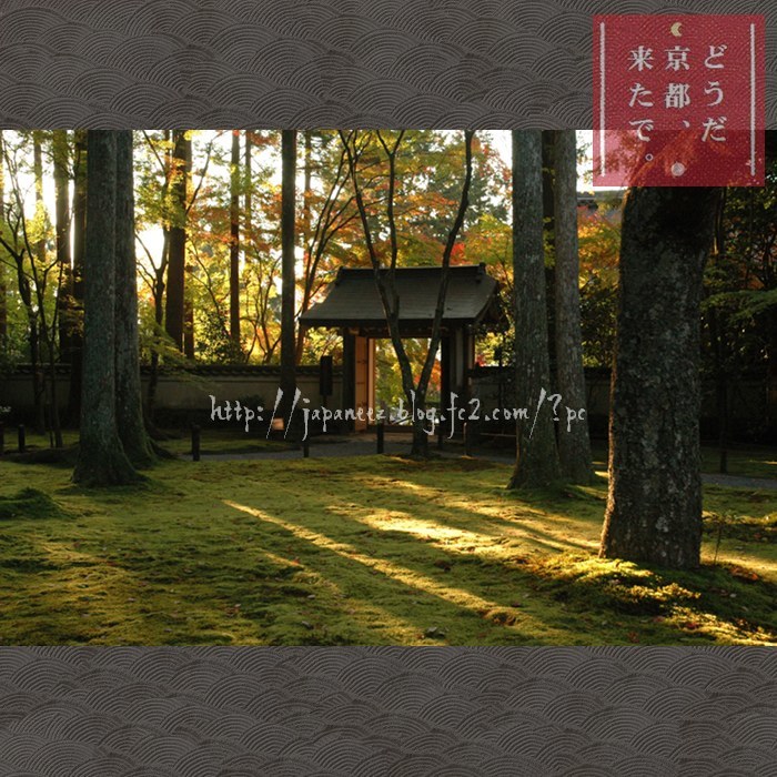 28　Decembre ， 2016