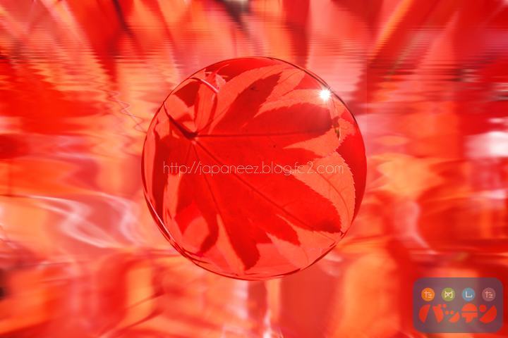 November　12 ， 2016