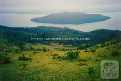 November　3 ， 2016