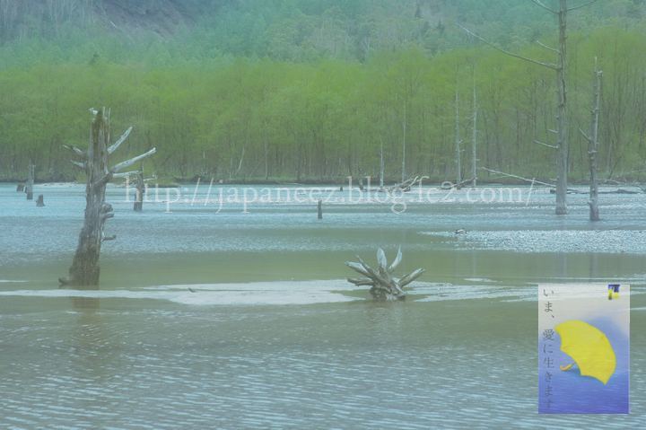 Augustus　29 ， 2016