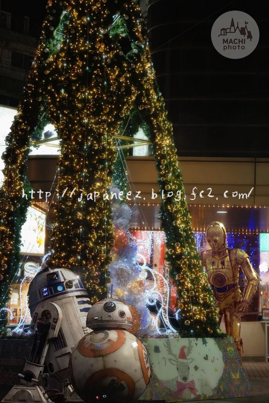 Today’s　available　stock　photo ，＃3628