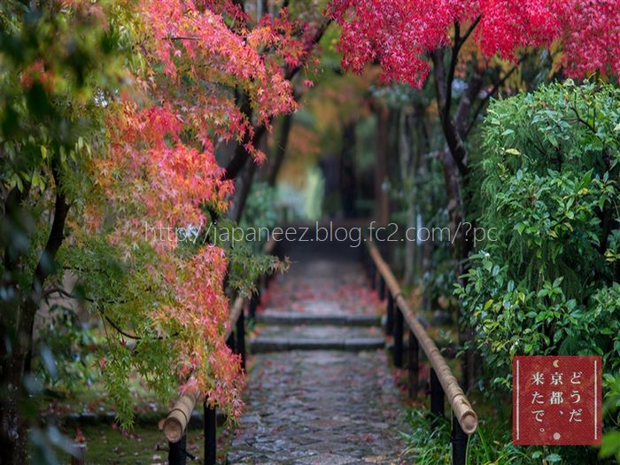 9　Decembre ， 2016