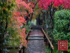 9　Decembre ， 2016