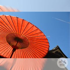 November　13 ， 2016