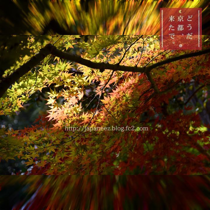 November　12 ， 2016