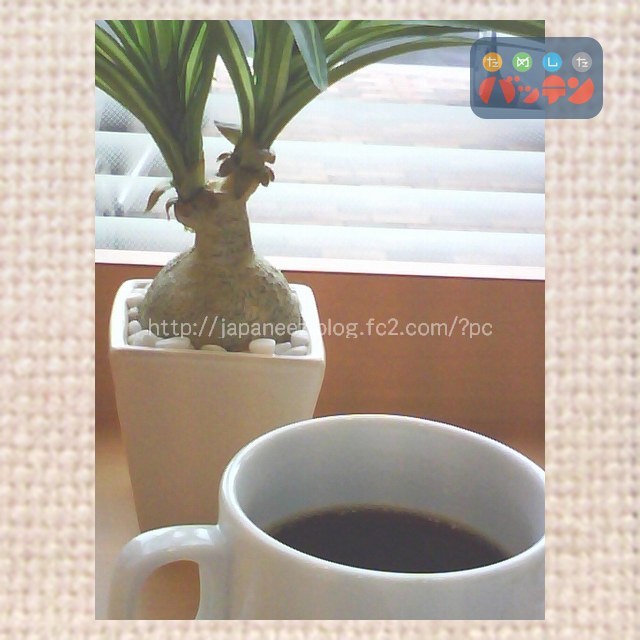 24　Decembre ， 2016