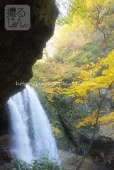 Octobre　22 ， 2016