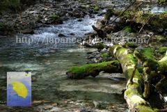 Augustus　25 ， 2016